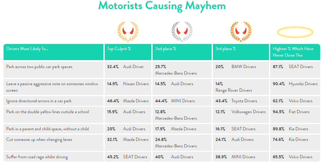 Motorists-Causing-Mayhem-Survey